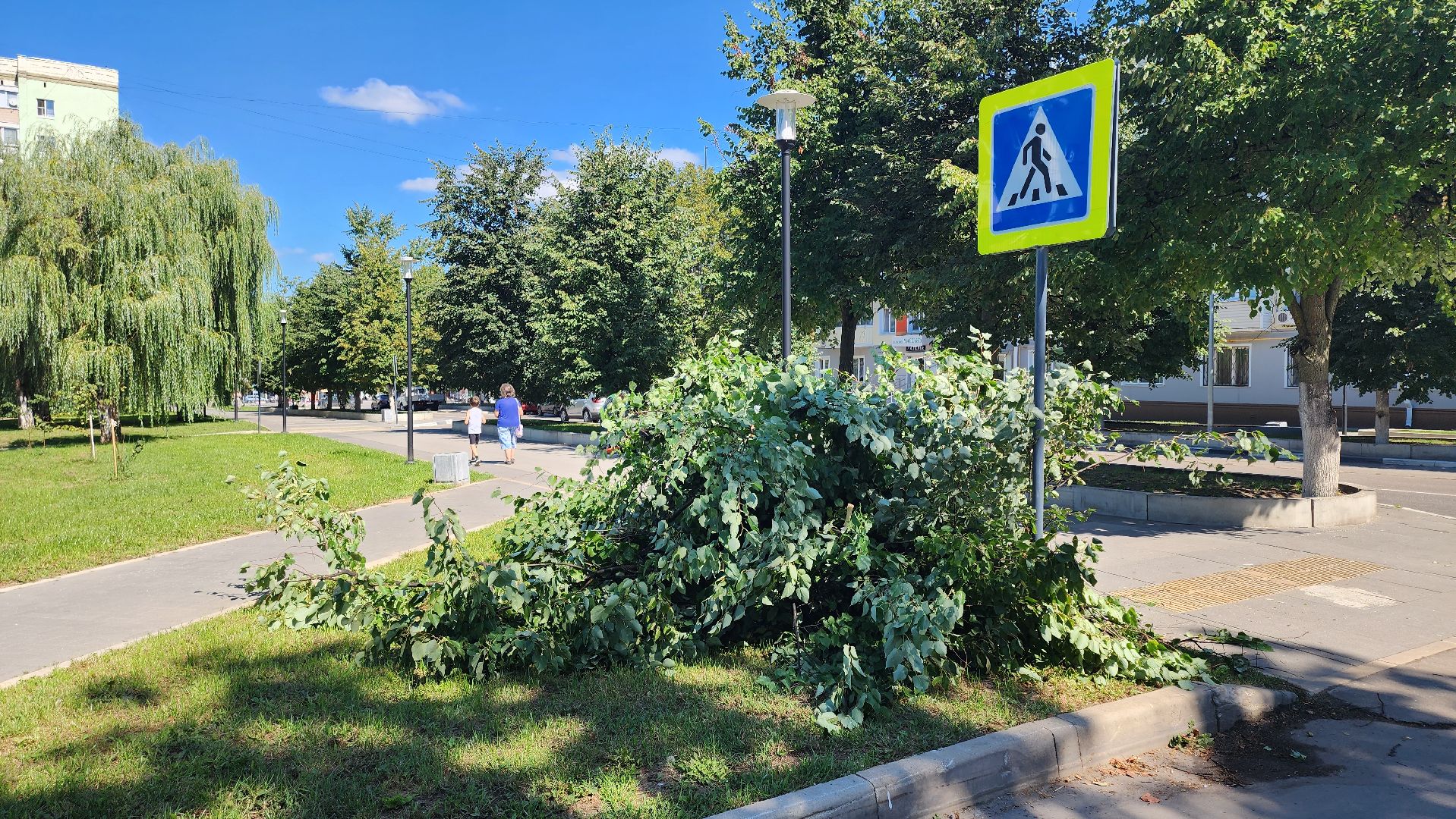 Кашира, благоустройство, уборка, кронирование