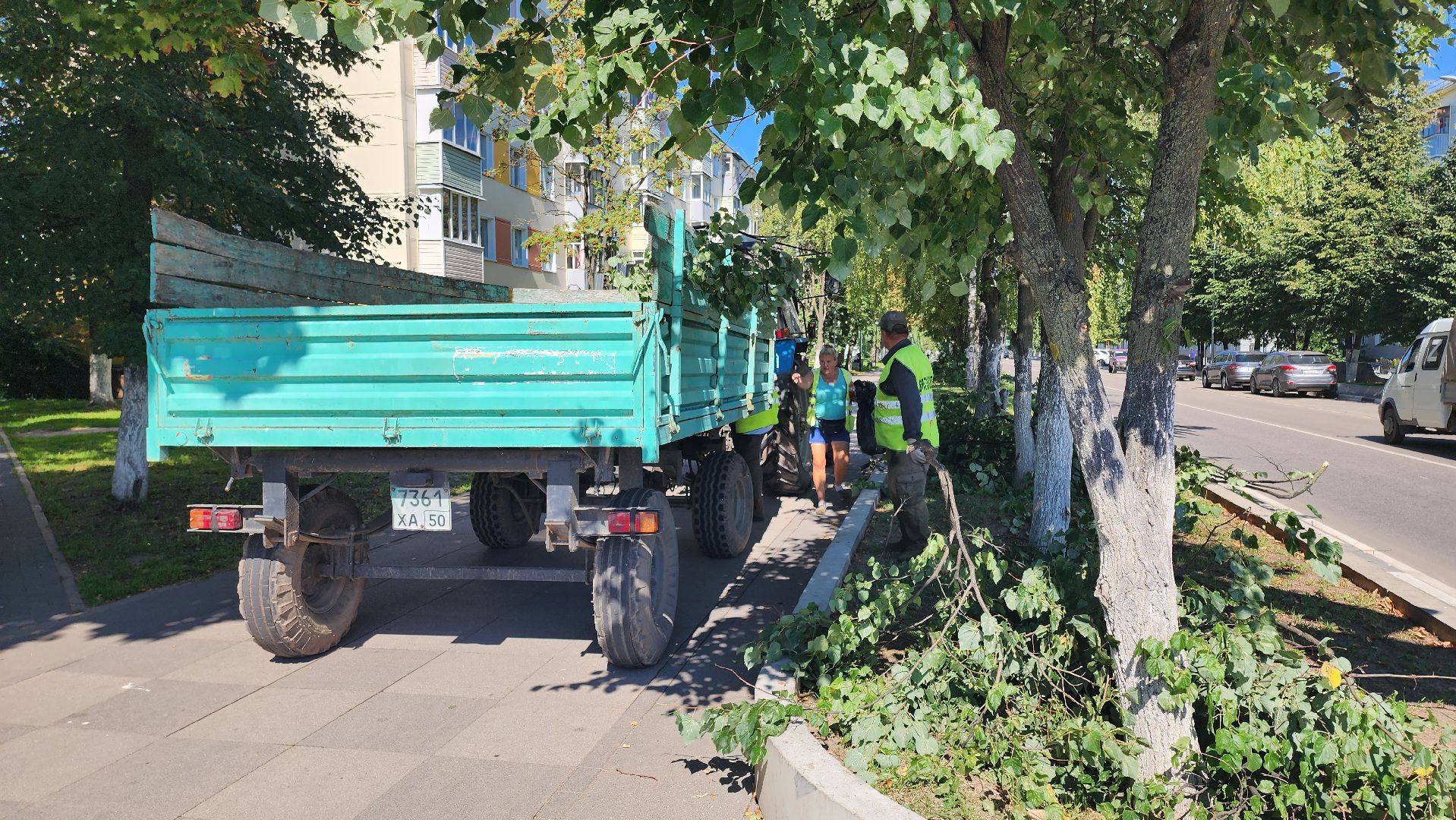 Кашира, благоустройство, уборка, кронирование