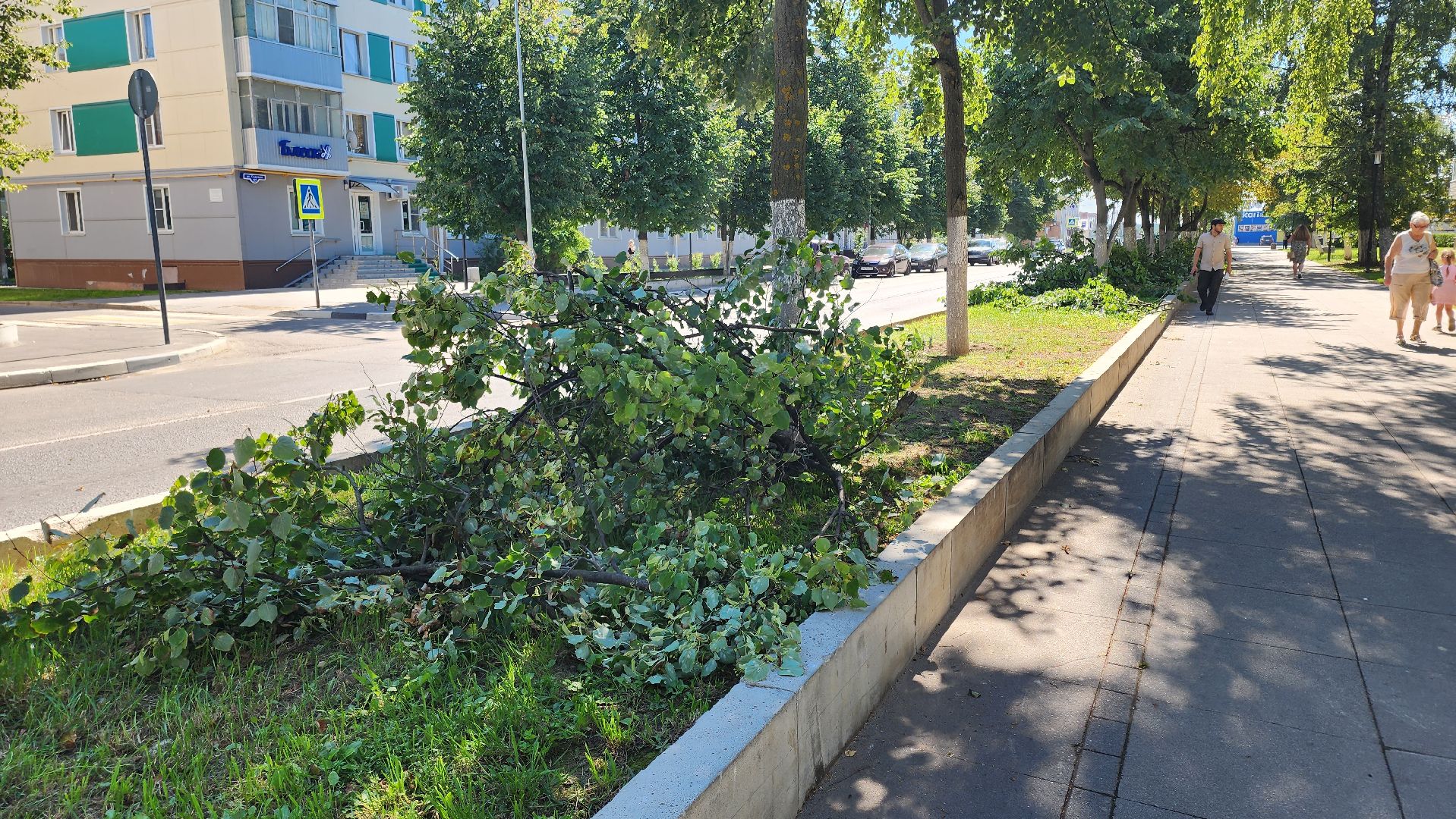 Кашира, благоустройство, уборка, кронирование