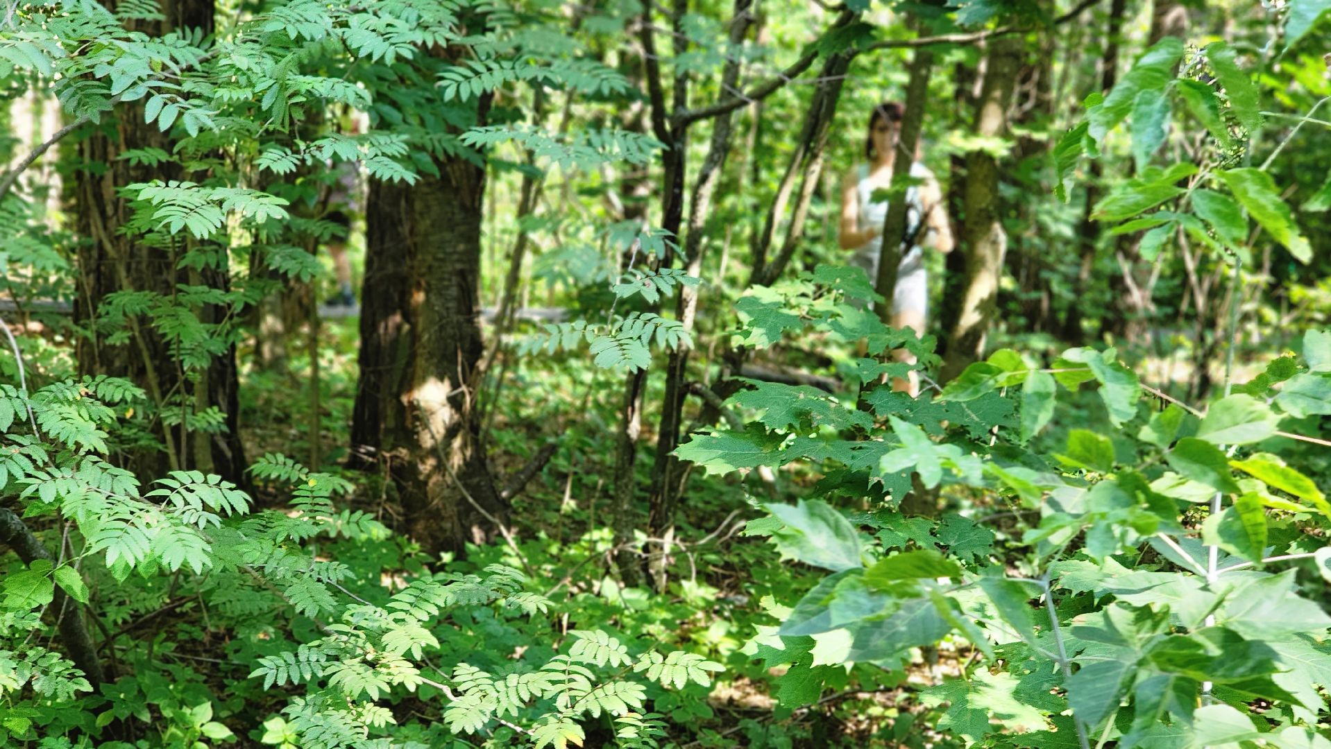 трудовые бригады, Протвино, ЦМИ, санитарная очистка, лагерь
