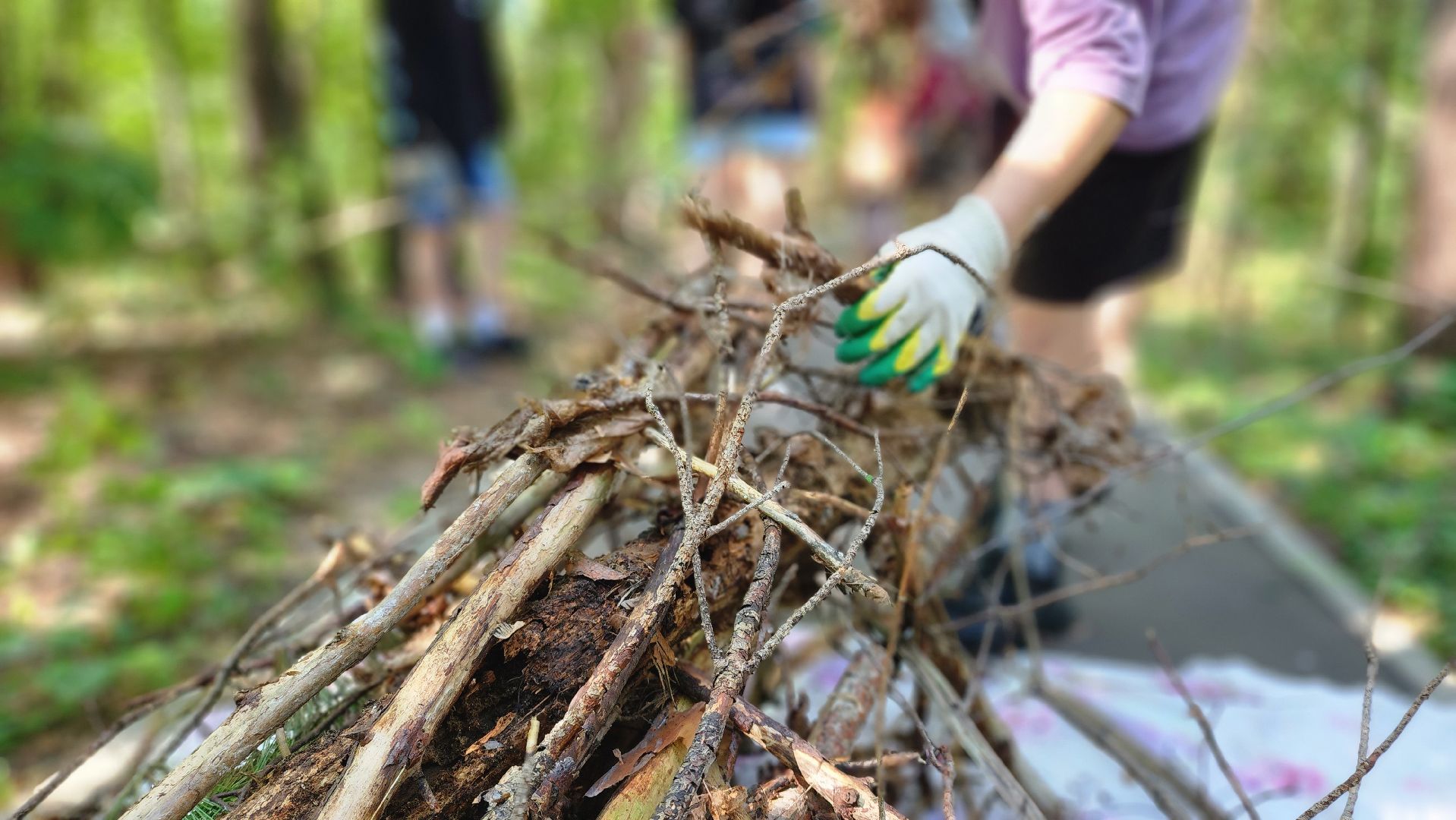 трудовые бригады, Протвино, ЦМИ, санитарная очистка, лагерь