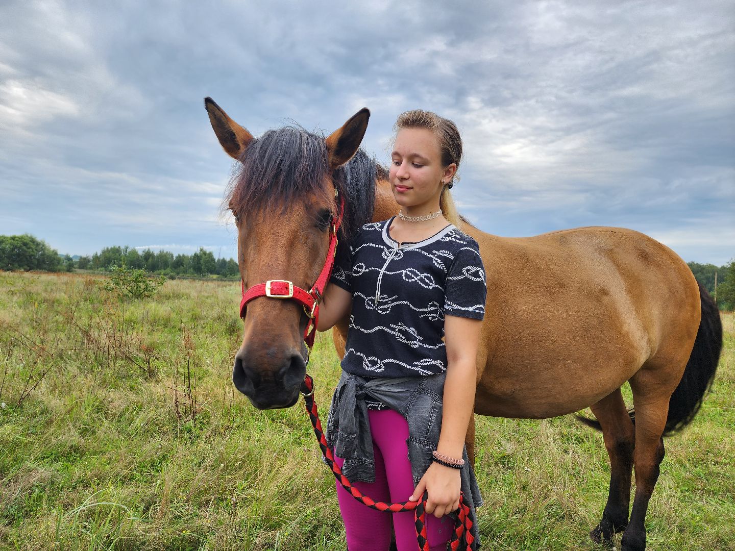 Воскресенск, лошади, животные