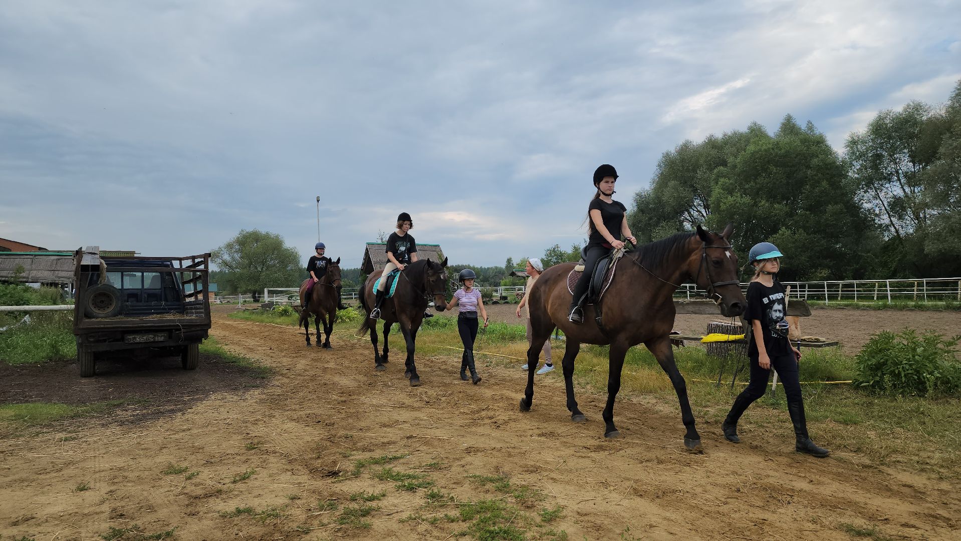 Воскресенск, лошади, животные