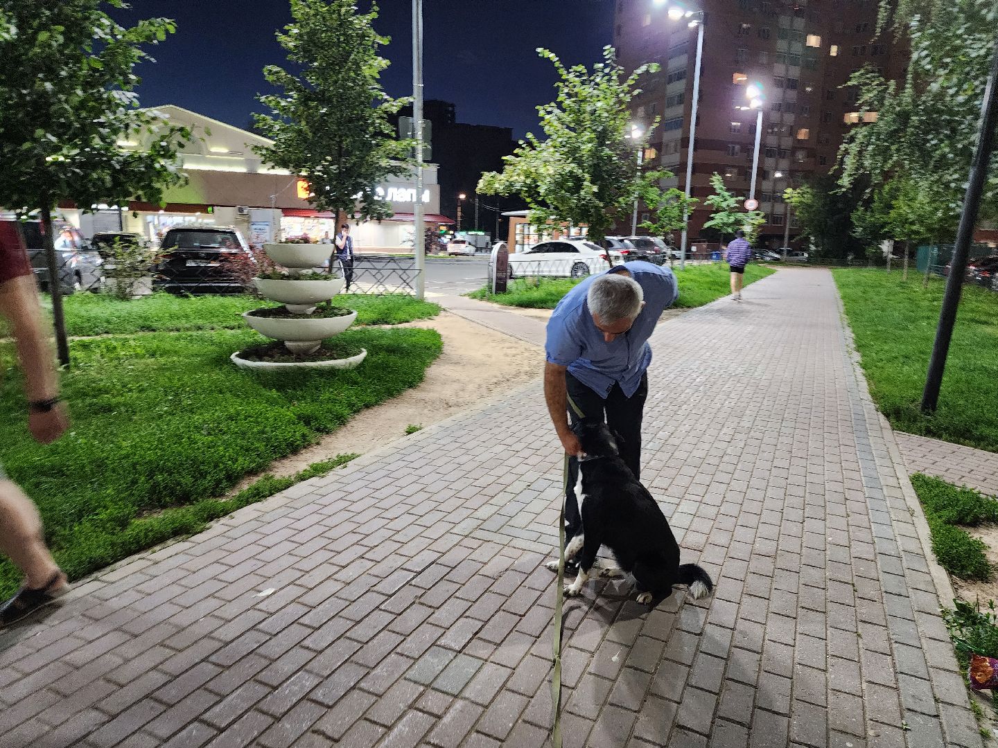 Подольск, стикеры, мессенджер, собаки, зоозащтник, пристройство