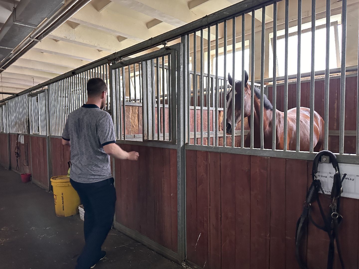 Одинцово, Горки-10, МКЗ 1, Орловские рысаки, Конкур