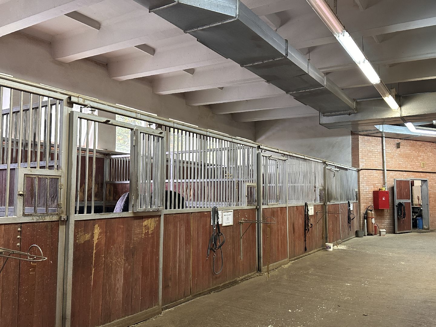 Одинцово, Горки-10, МКЗ 1, Орловские рысаки, Конкур