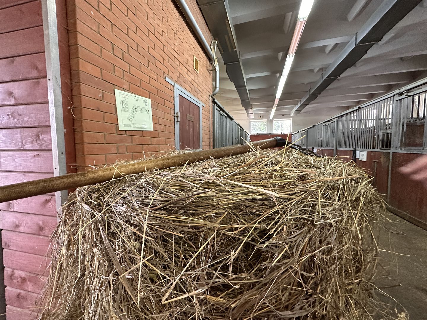 Одинцово, Горки-10, МКЗ 1, Орловские рысаки, Конкур