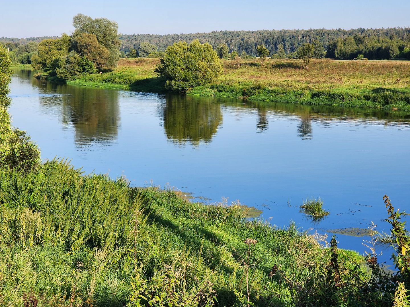 Звенигород, туризм, Каринское, экскурсионный маршрут по подвесным мостам, Дети понедельника, Алла Сурикова, мост