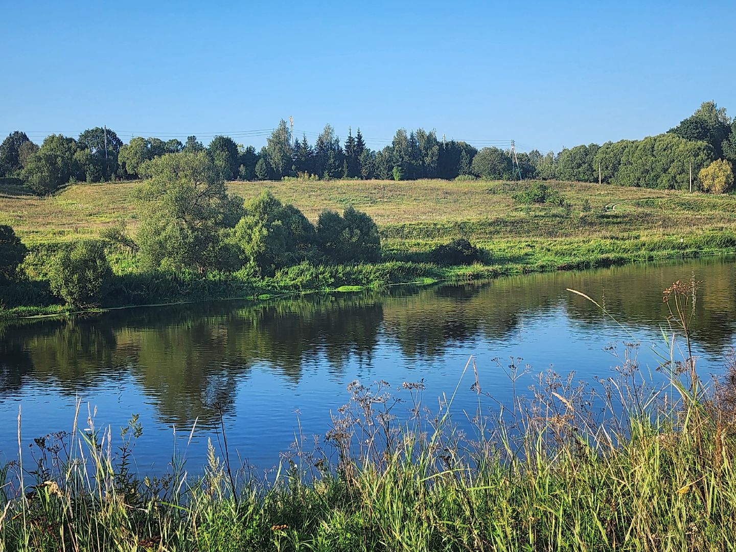 Звенигород, туризм, Каринское, экскурсионный маршрут по подвесным мостам, Дети понедельника, Алла Сурикова, мост