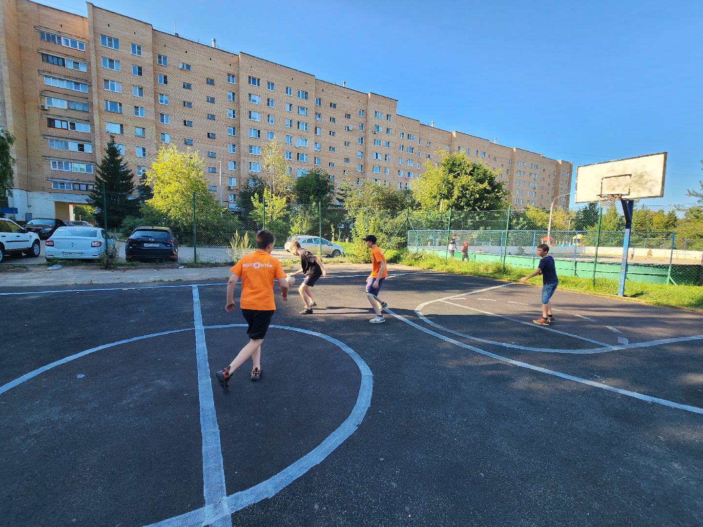 Солнечногорск, Подсолнух, волонтеры, дети, общество