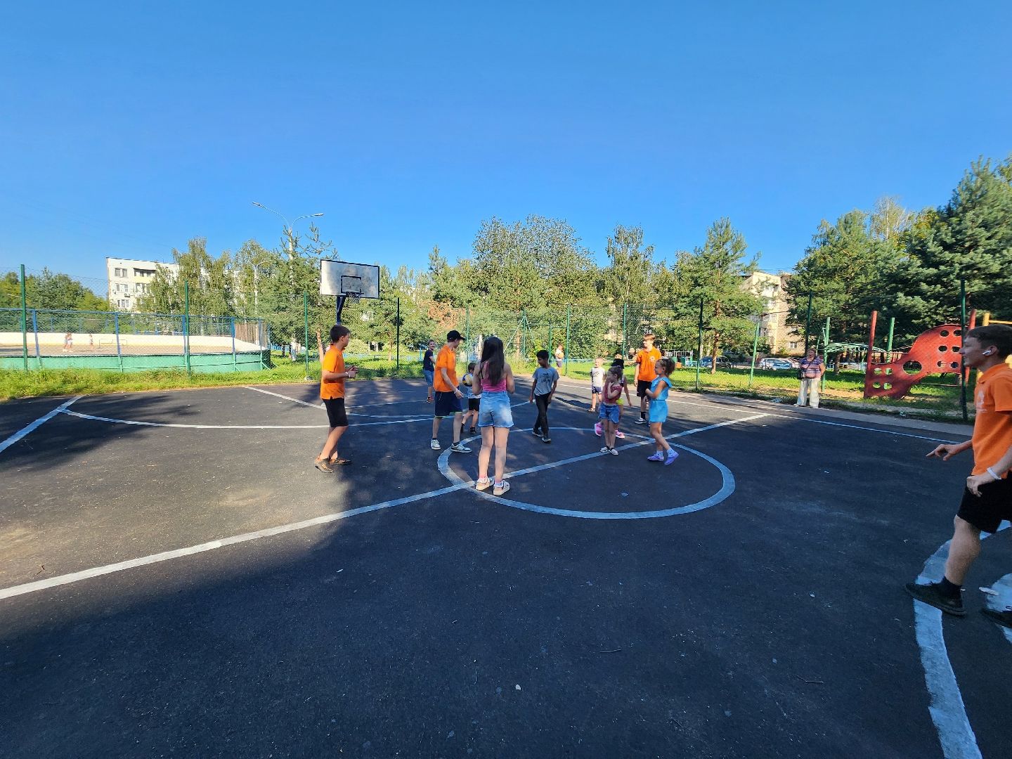 Солнечногорск, Подсолнух, волонтеры, дети, общество