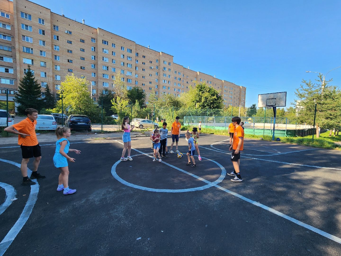 Солнечногорск, Подсолнух, волонтеры, дети, общество