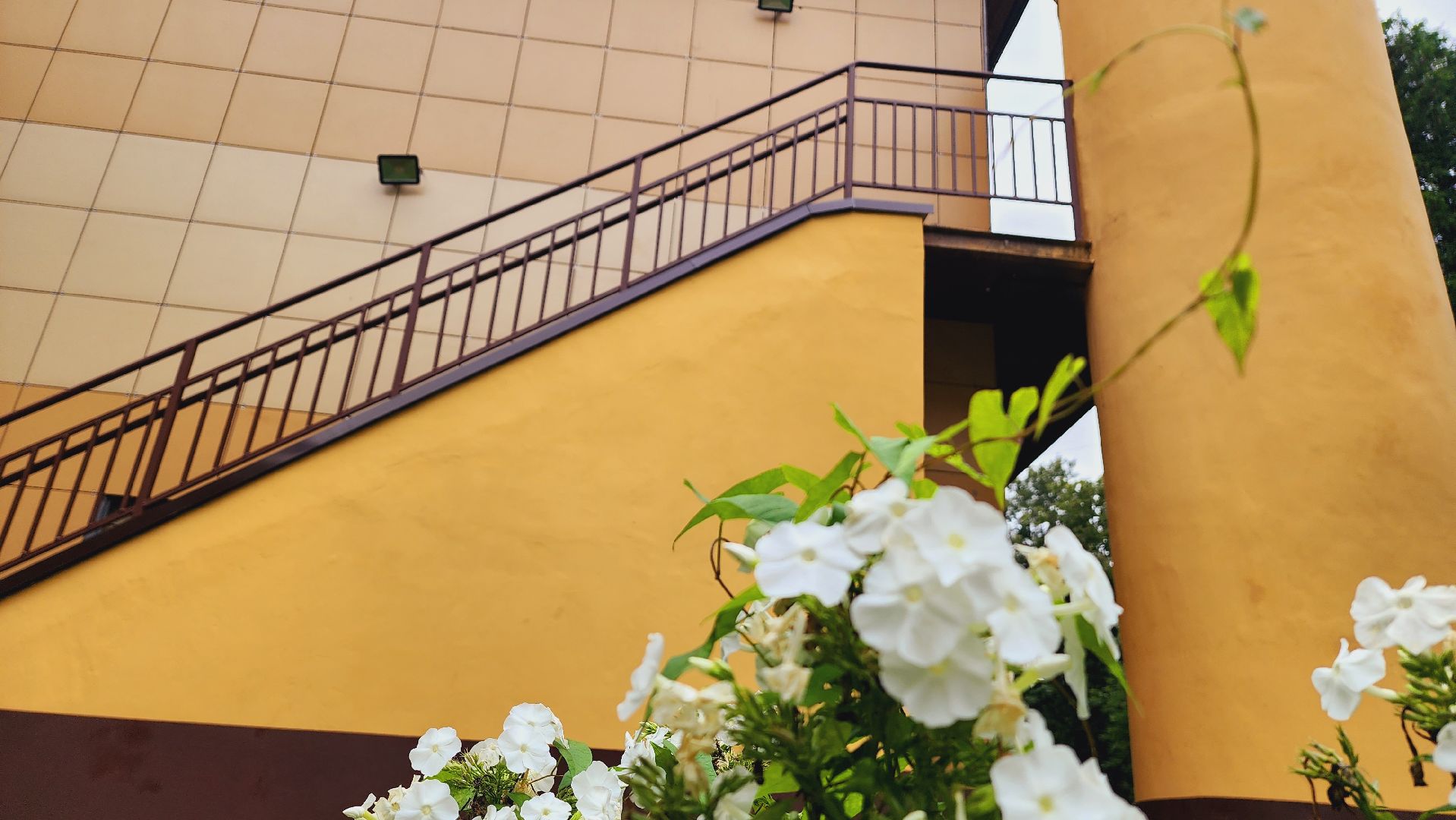 Подмосковье, Ивантеевка, благоустройство