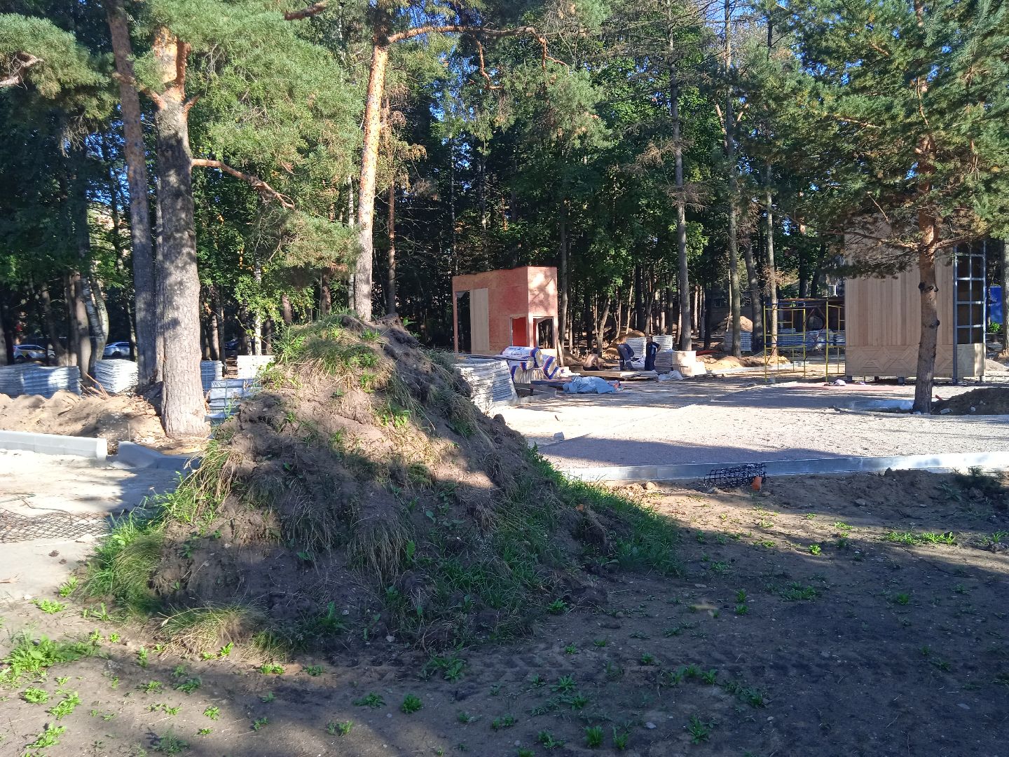 реконструкция, парк, культуры, отдыха, национальный, проект