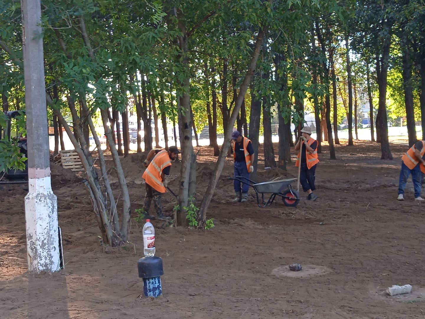 реконструкция, парк, культуры, отдыха, национальный, проект