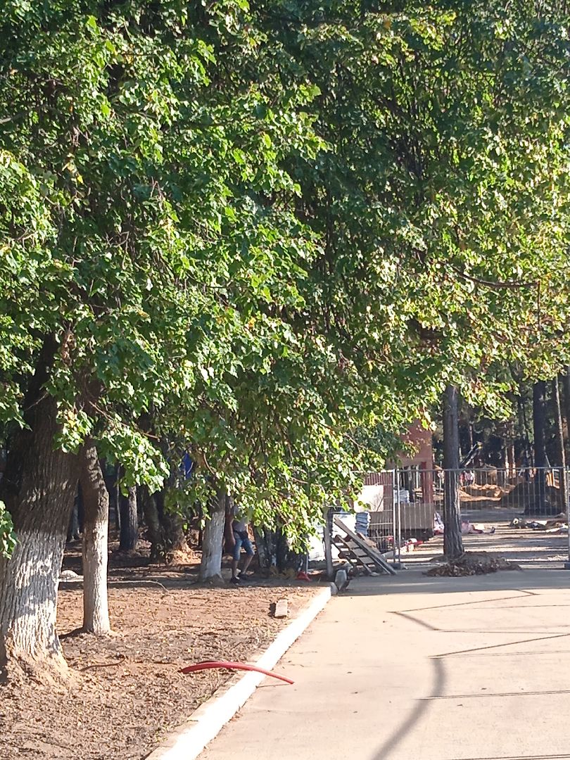 реконструкция, парк, культуры, отдыха, национальный, проект