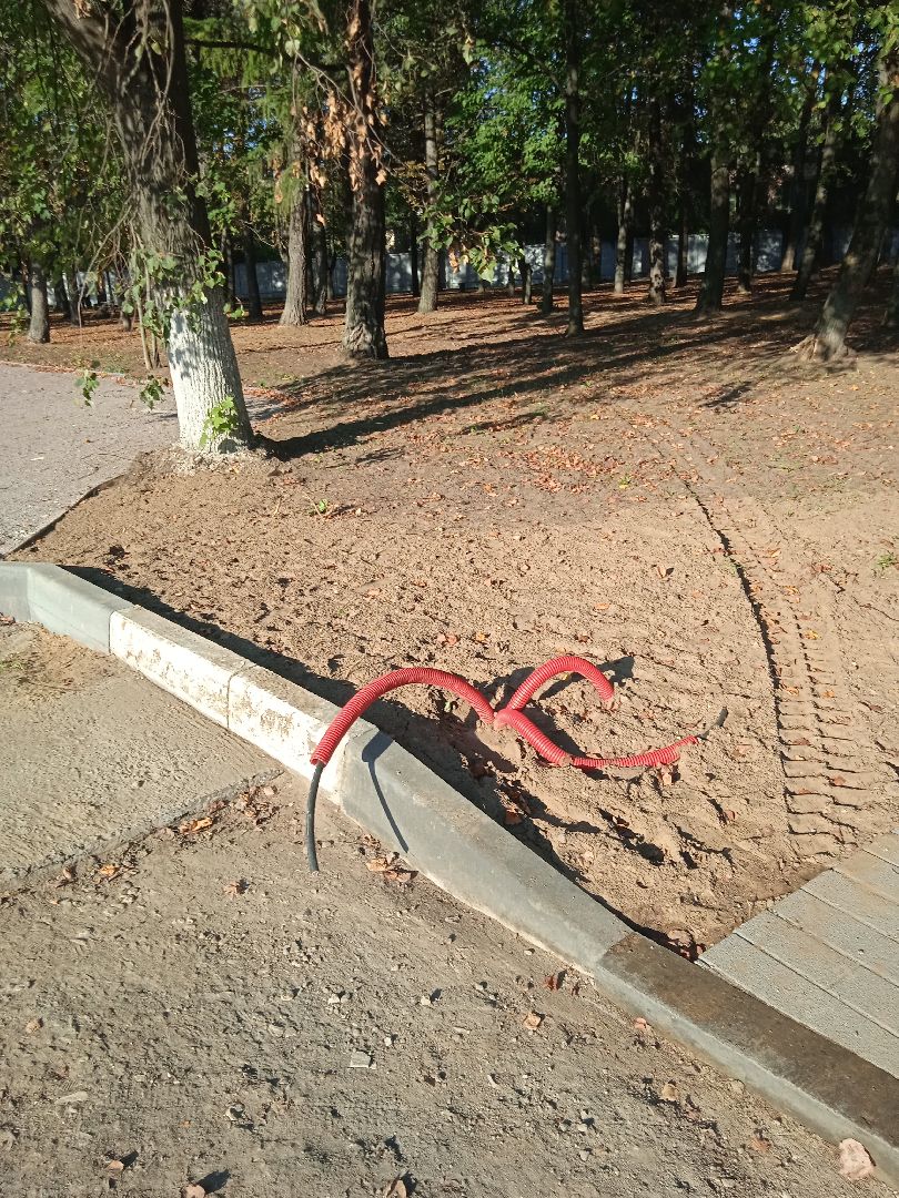 реконструкция, парк, культуры, отдыха, национальный, проект