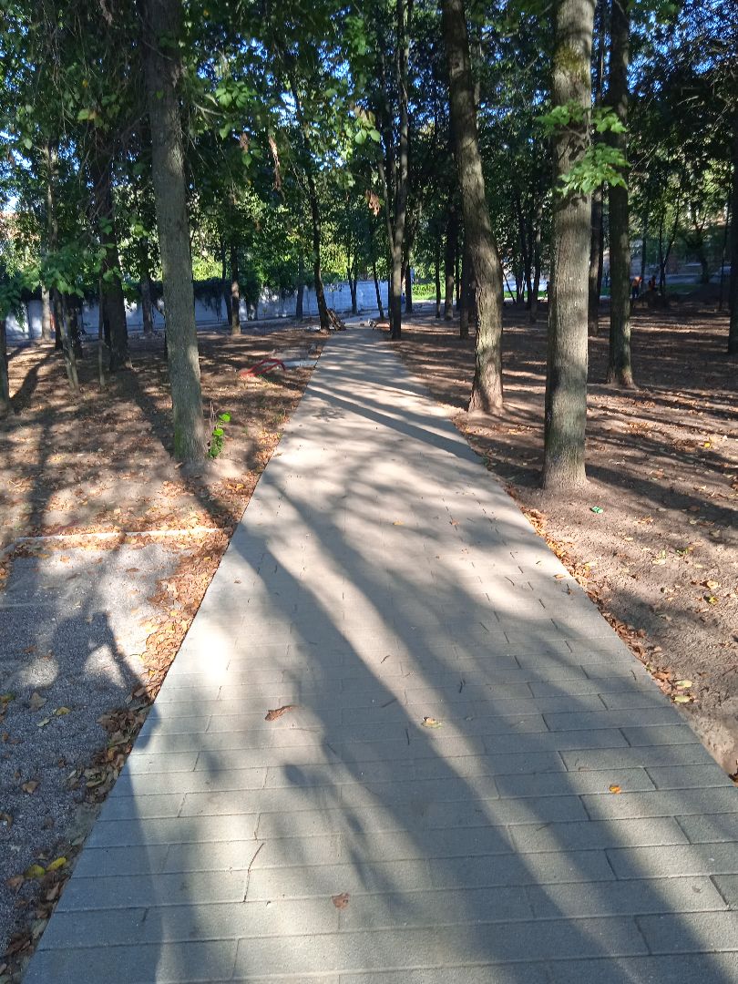 реконструкция, парк, культуры, отдыха, национальный, проект