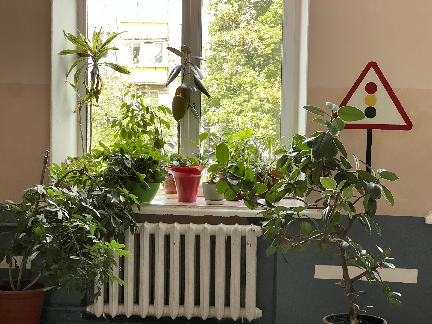 Химки, образование, школа, проверка школ