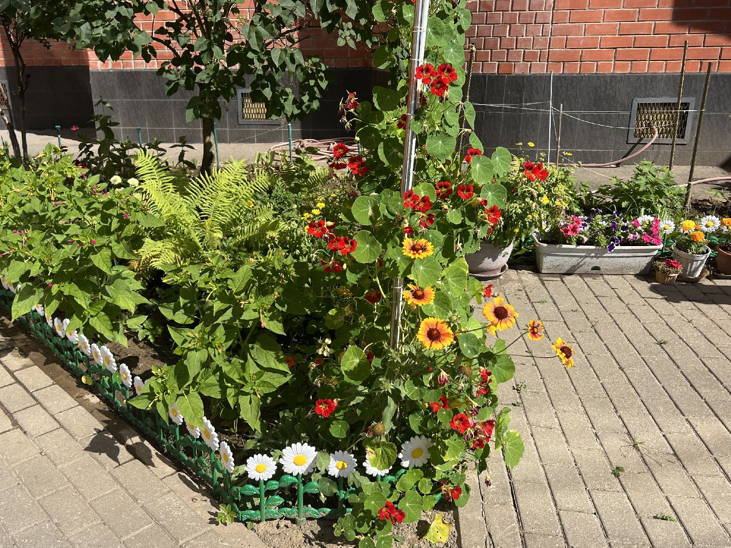 Химки, благоустройство, благоустройство дворов, конкурс,