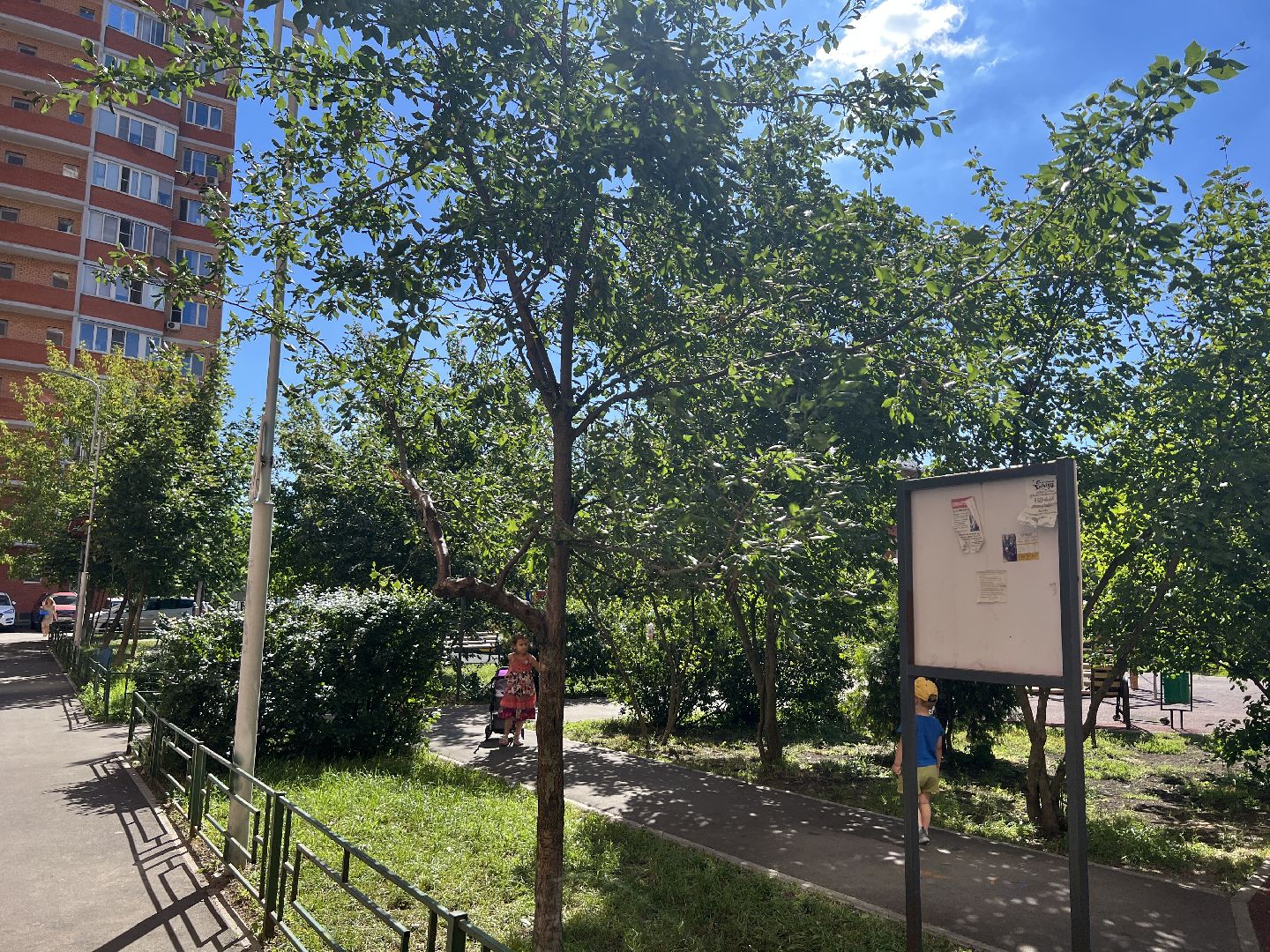 Химки, благоустройство, благоустройство дворов, конкурс,