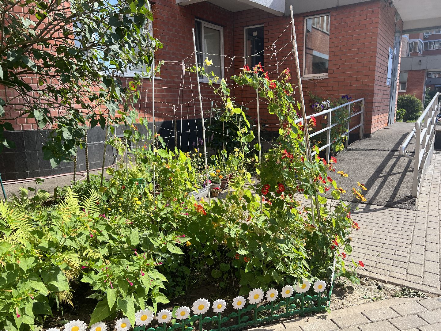 Химки, благоустройство, благоустройство дворов, конкурс,