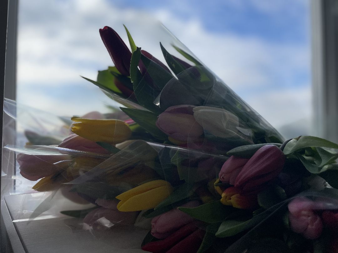 Сергиев Посад, Сергиево-Посадский городской округ, 8 марта, Международный женский день, Праздник, МособлДума