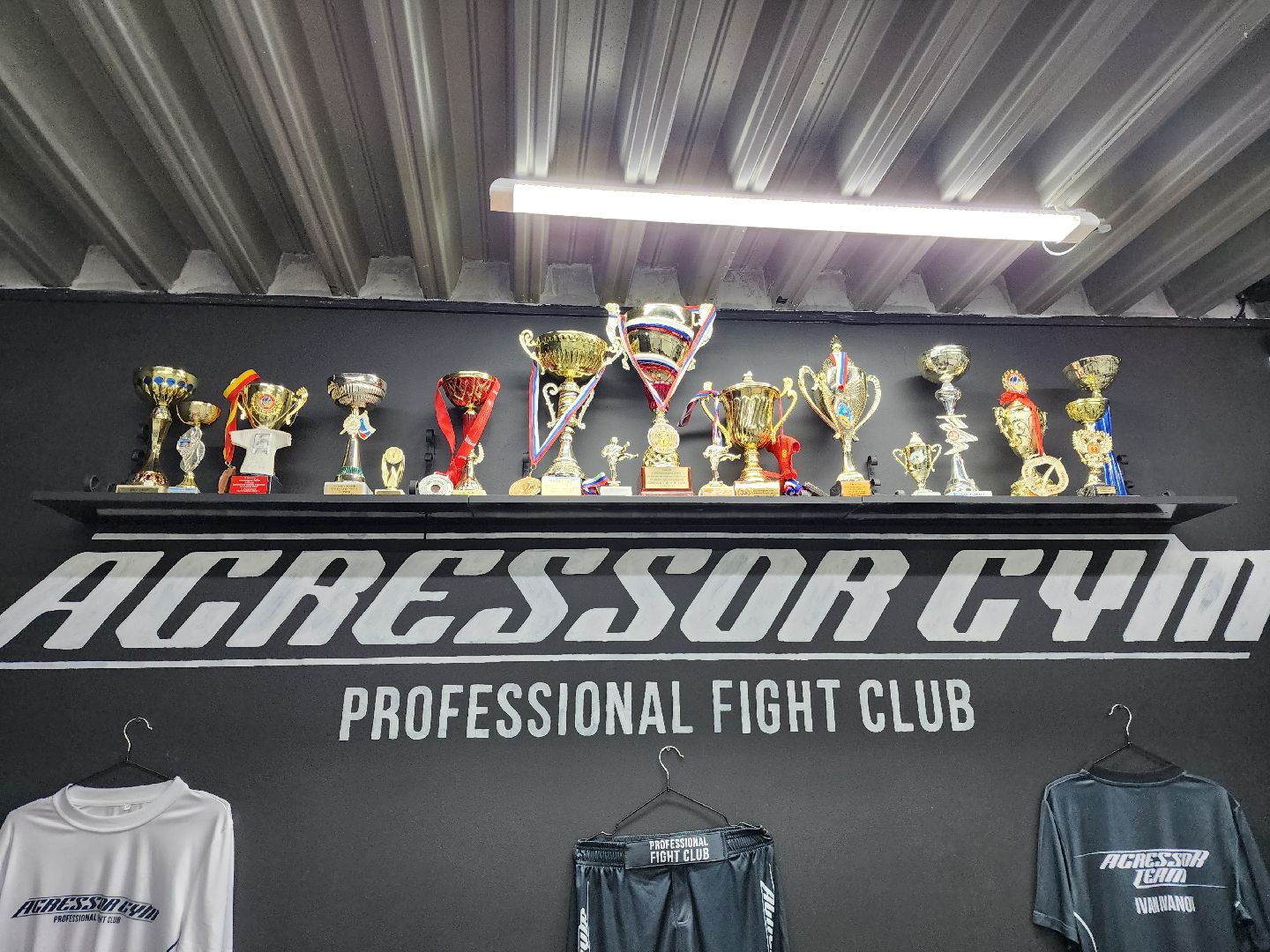 Мытищи, Сергей Акопян, чемпион мира по боксу, Кубок Казанского Кремля