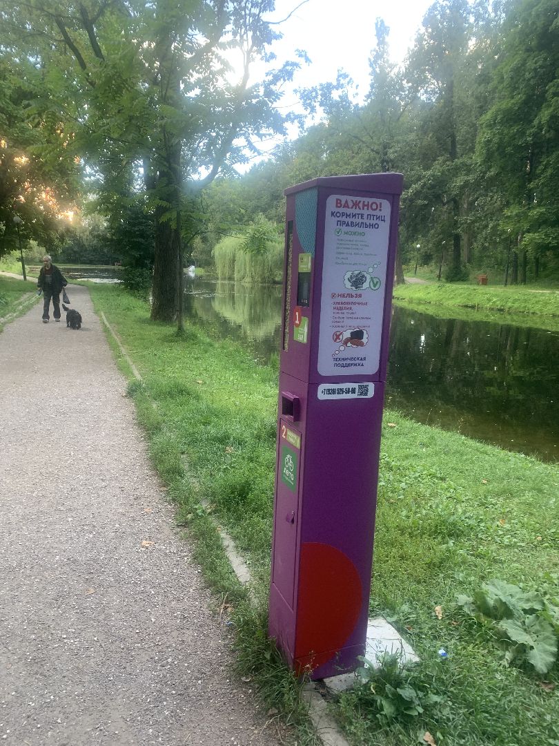 Утки, экология, каникулы, кормление птиц,орнитология