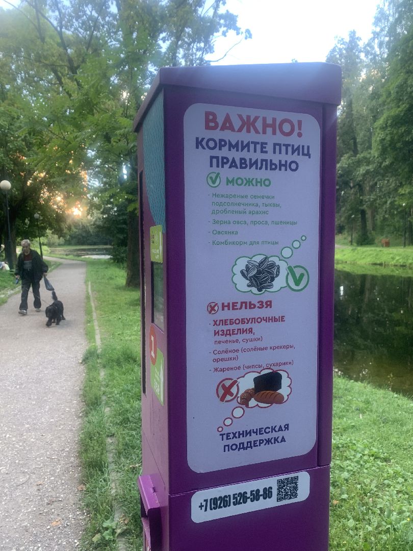 Утки, экология, каникулы, кормление птиц,орнитология