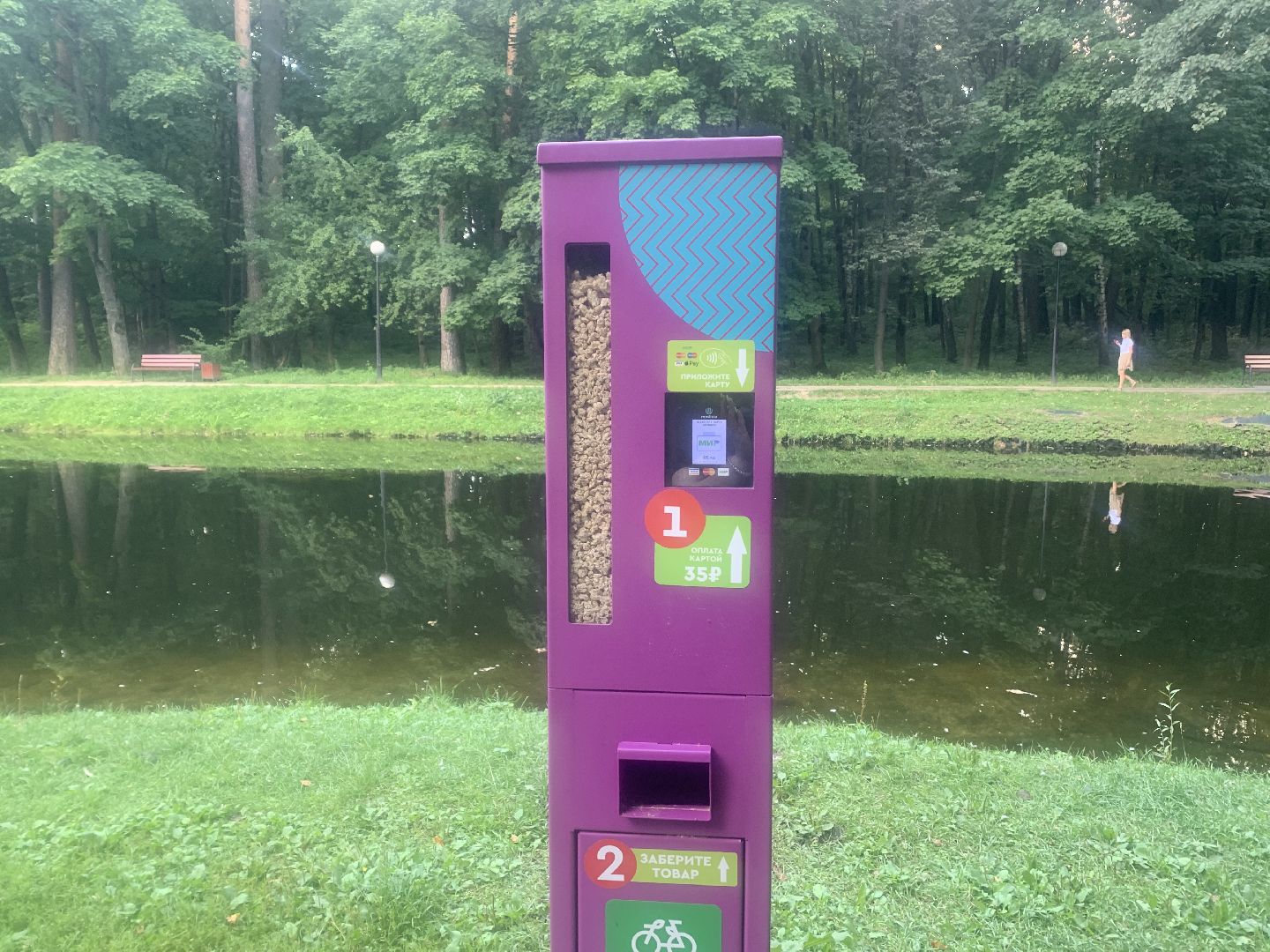 Утки, экология, каникулы, кормление птиц,орнитология