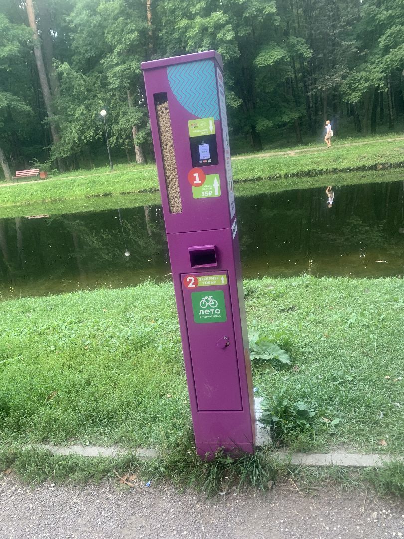 Утки, экология, каникулы, кормление птиц,орнитология