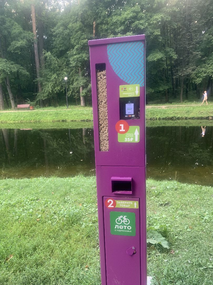 Утки, экология, каникулы, кормление птиц,орнитология