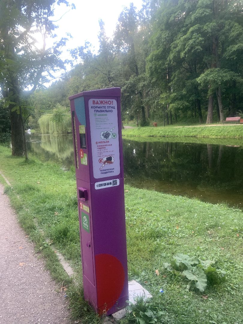 Утки, экология, каникулы, кормление птиц,орнитология