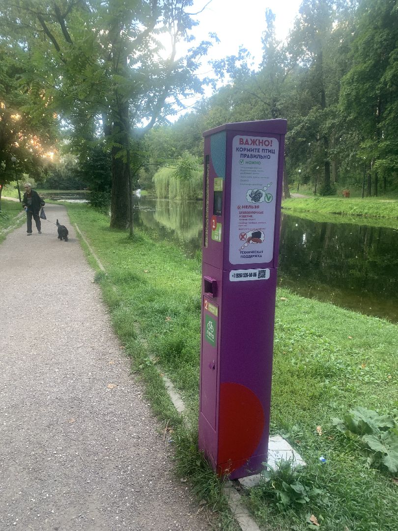 Утки, экология, каникулы, кормление птиц,орнитология