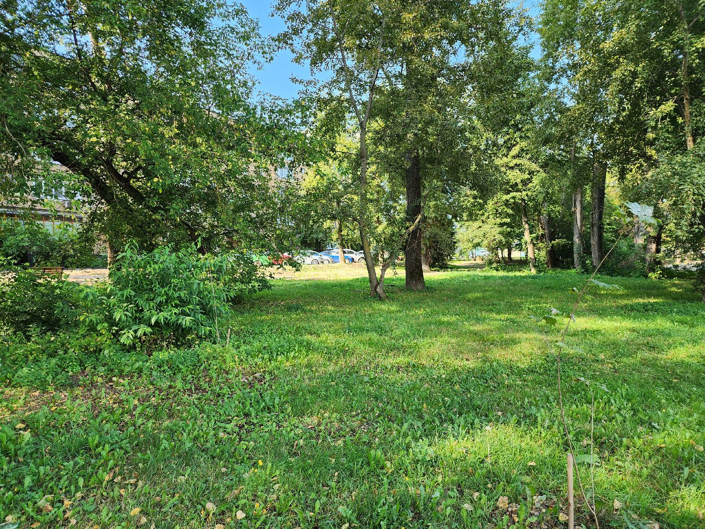 Серпухов, Подмосковье, благоустройство, ворк-аут, губернатор