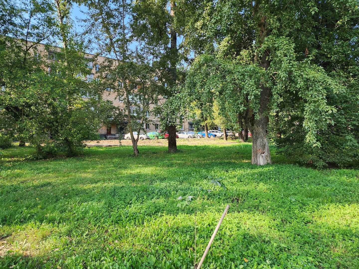 Серпухов, Подмосковье, благоустройство, ворк-аут, губернатор