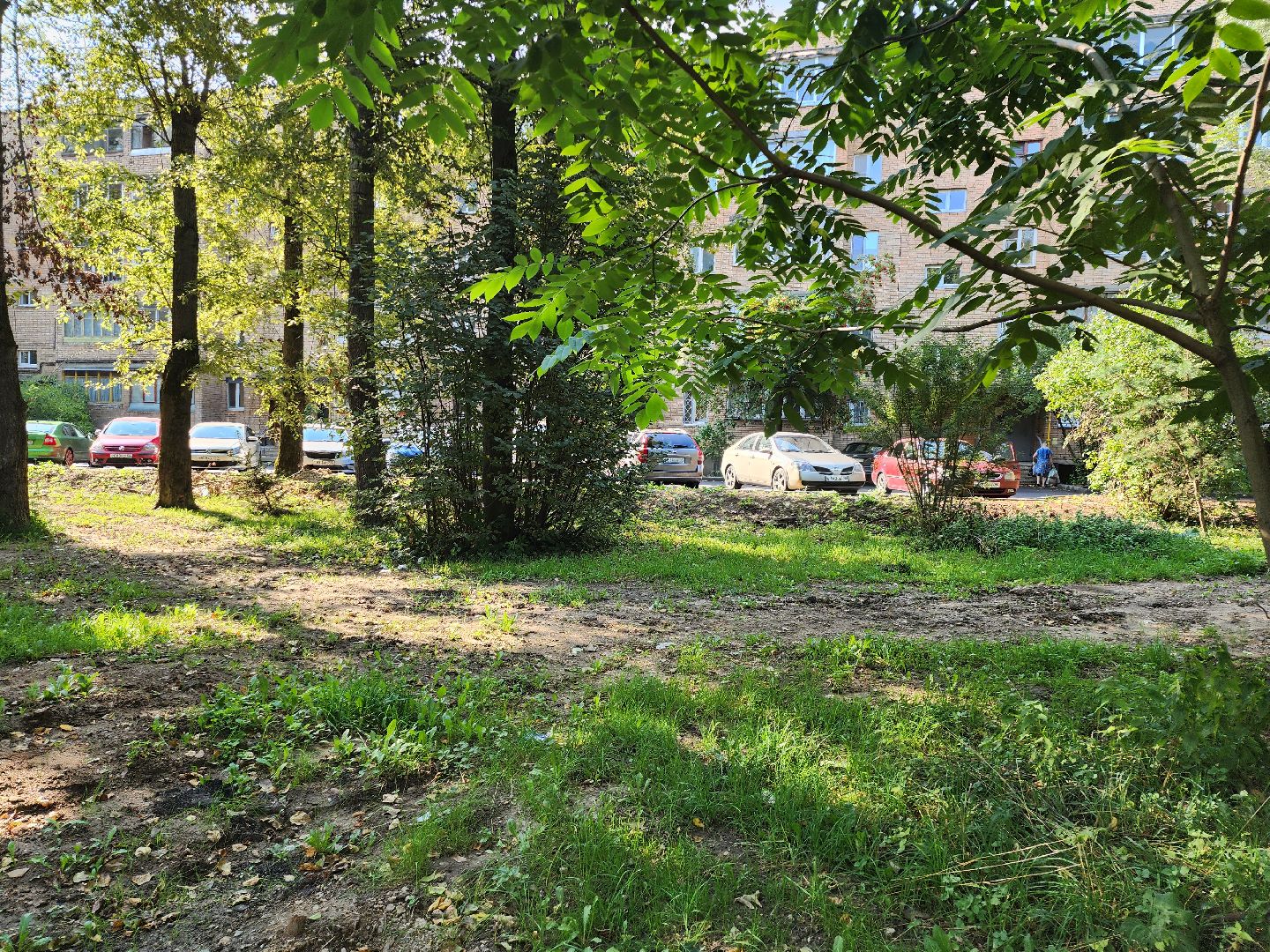 Серпухов, Подмосковье, благоустройство, ворк-аут, губернатор