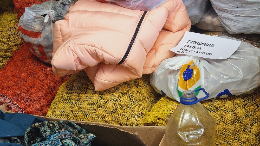 Подмосковье, Пушкинский, храм, волонтеры,