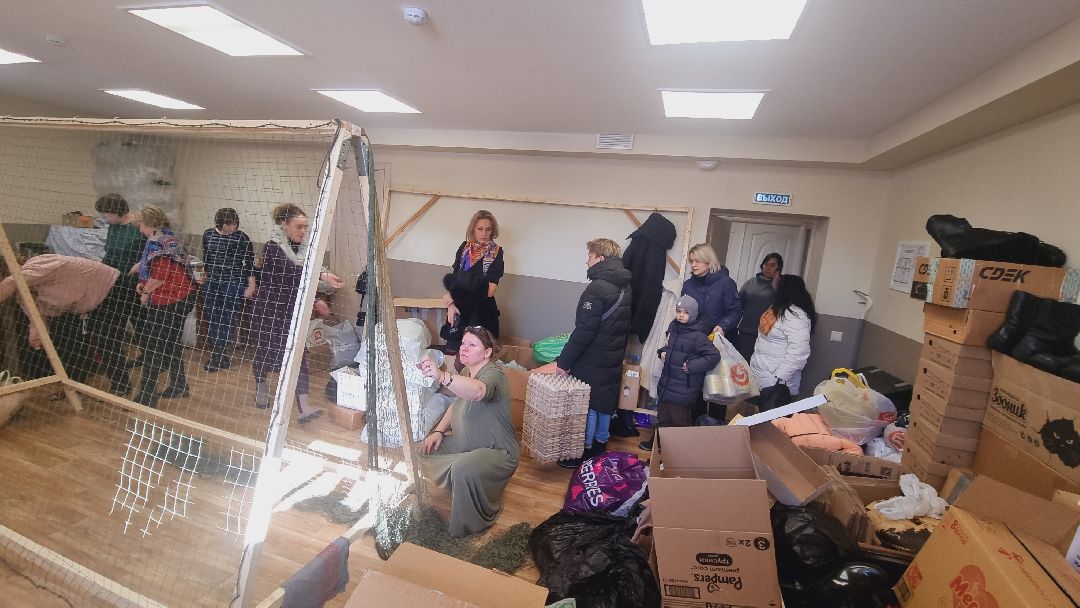 Подмосковье, Пушкинский, храм, волонтеры,