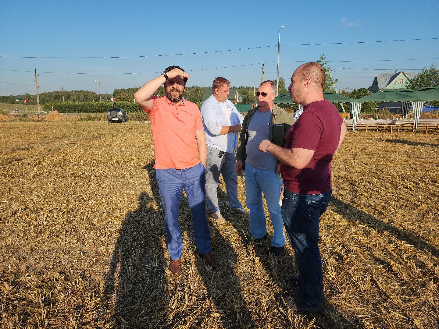 озимые, племзавод Барыбино, Домодедово