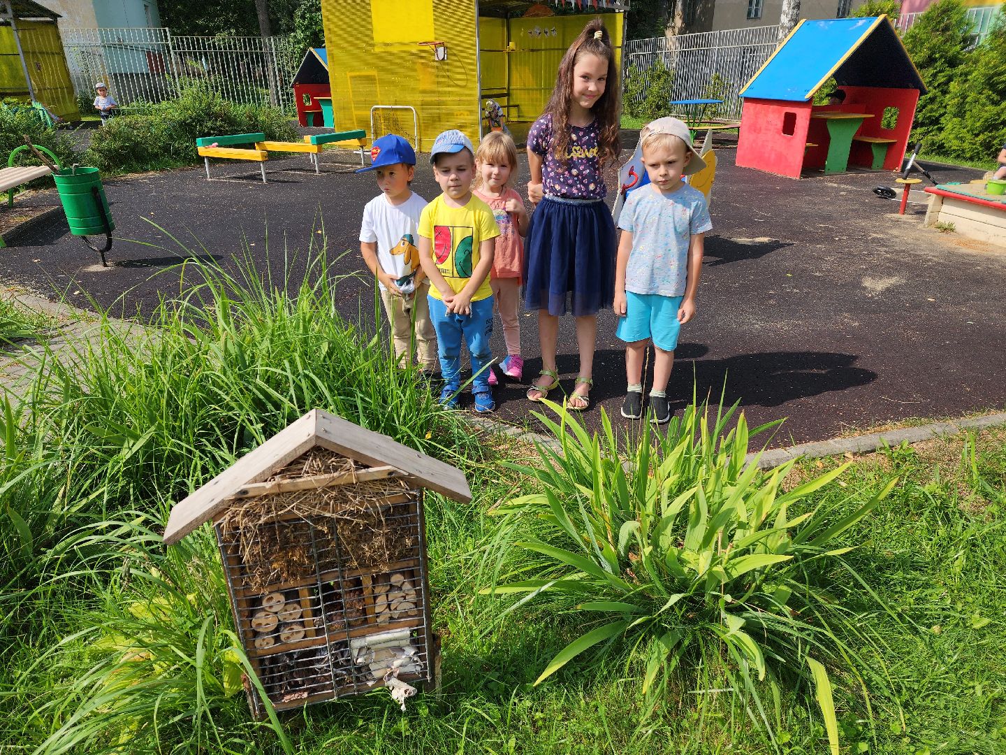 Красноармейск, Пушкинский, экология, образование, отели для насекомых