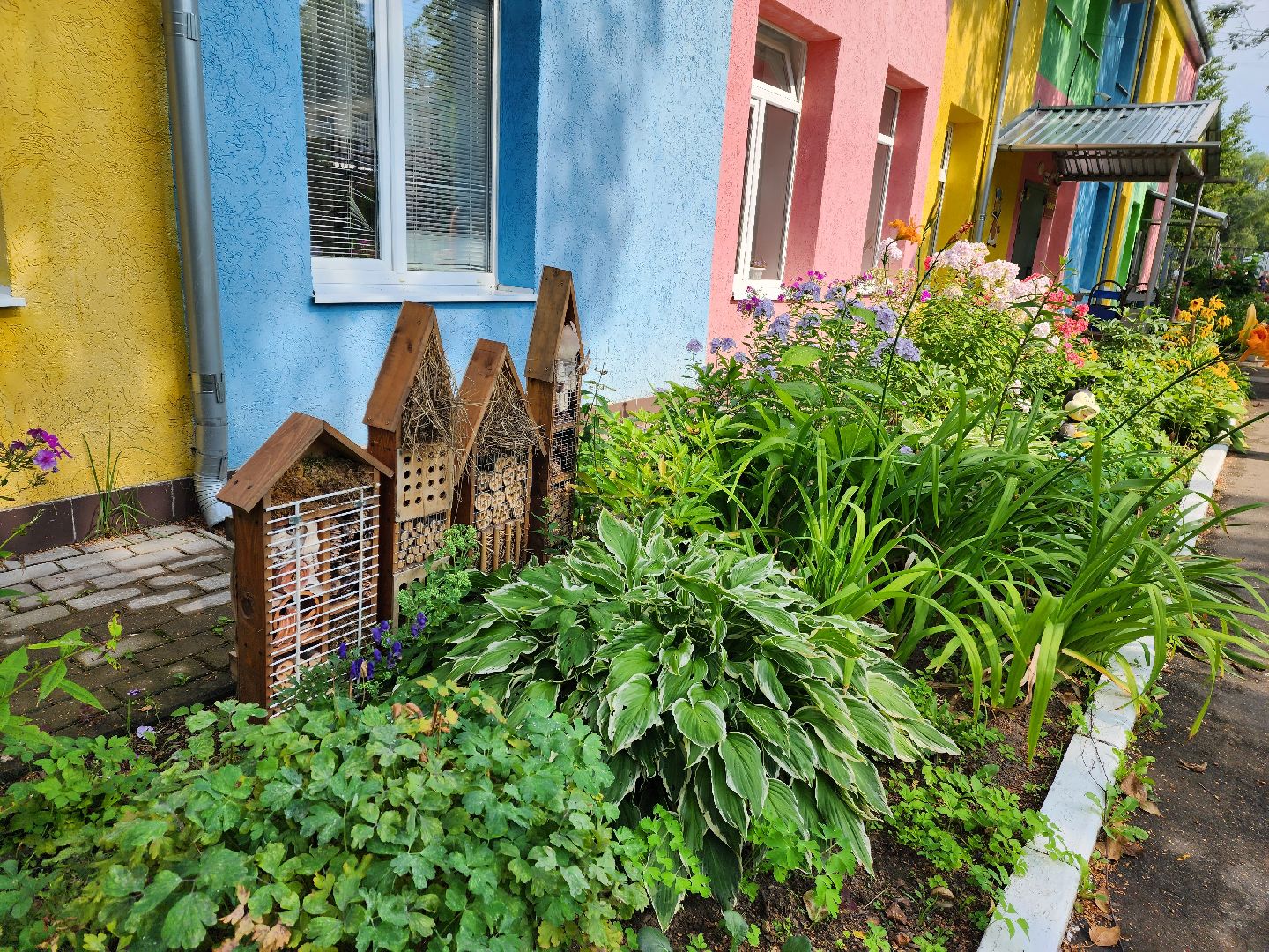 Красноармейск, Пушкинский, экология, образование, отели для насекомых