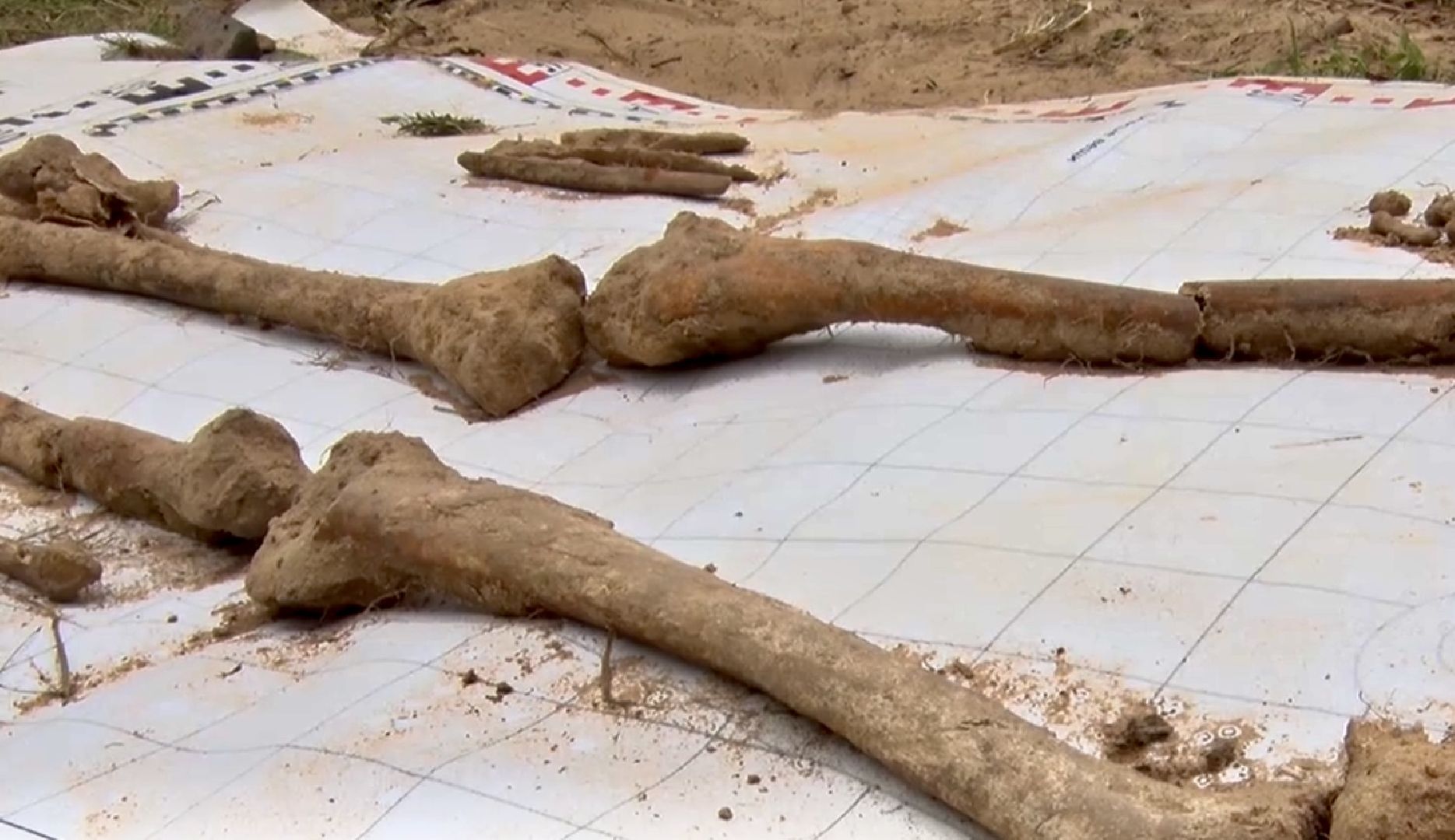 Клин, общество, память, поиски, ВОВ