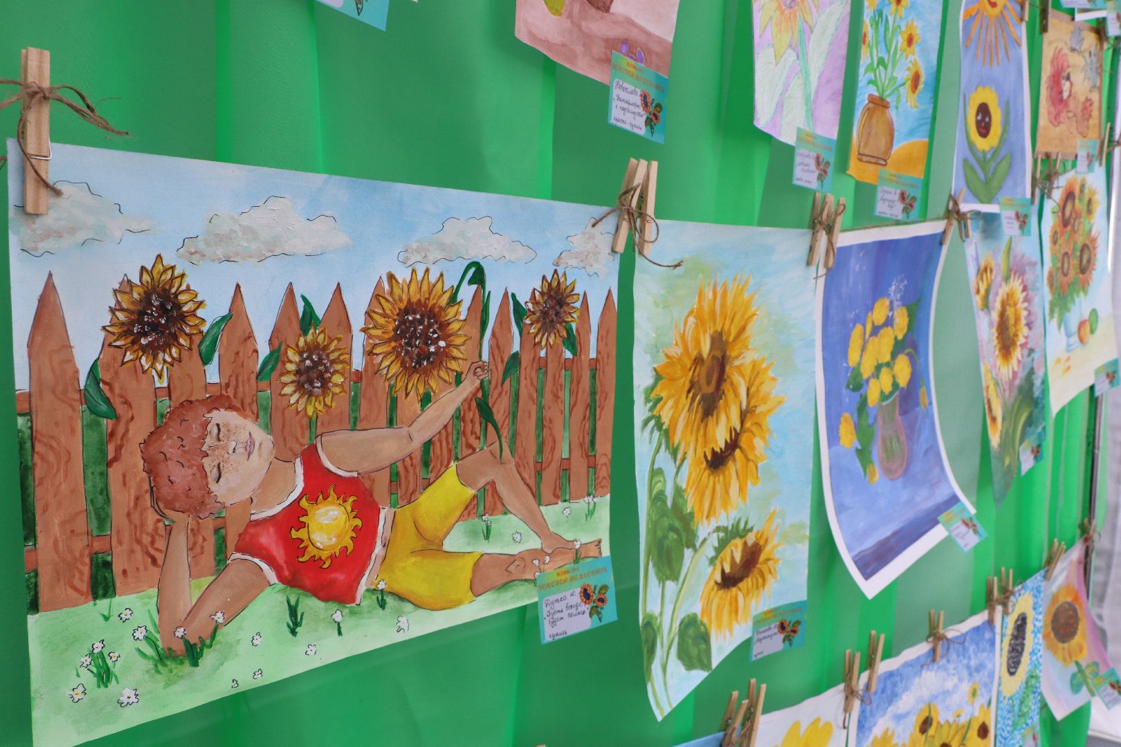 Серебряные Пруды, подсолнечник, Бокарев