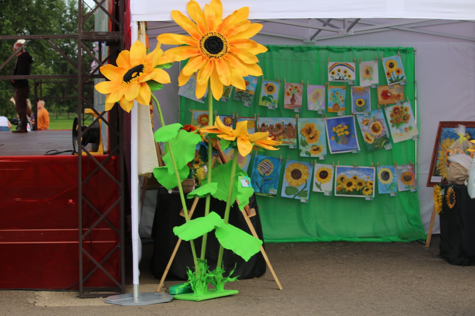 Серебряные Пруды, подсолнечник, Бокарев