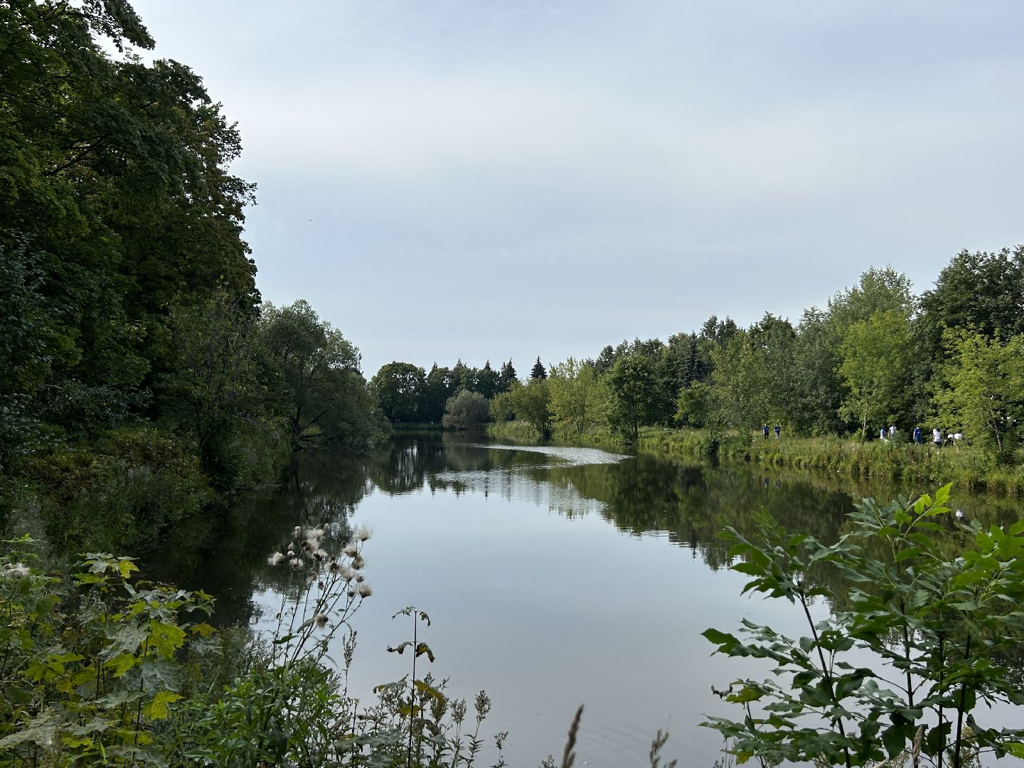 акция, вода России, Фрязино, пруд