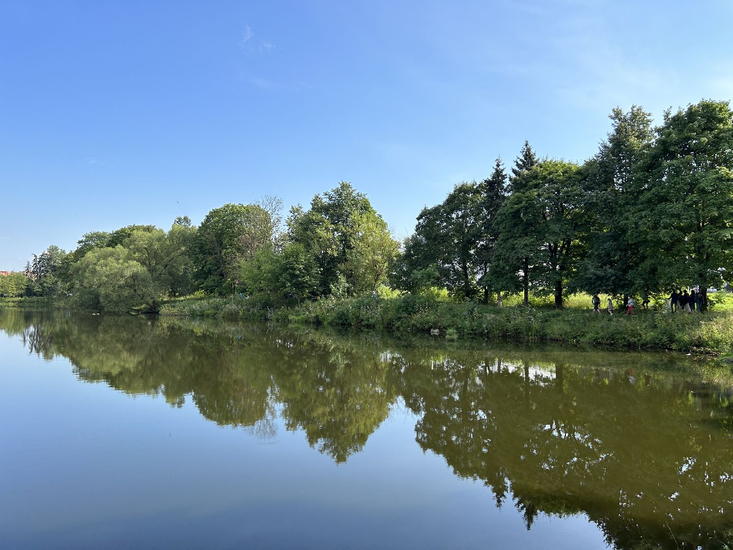 акция, вода России, Фрязино, пруд