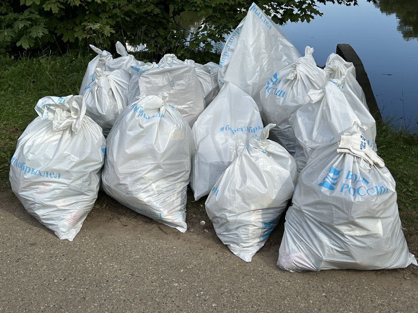 акция, вода России, Фрязино, пруд