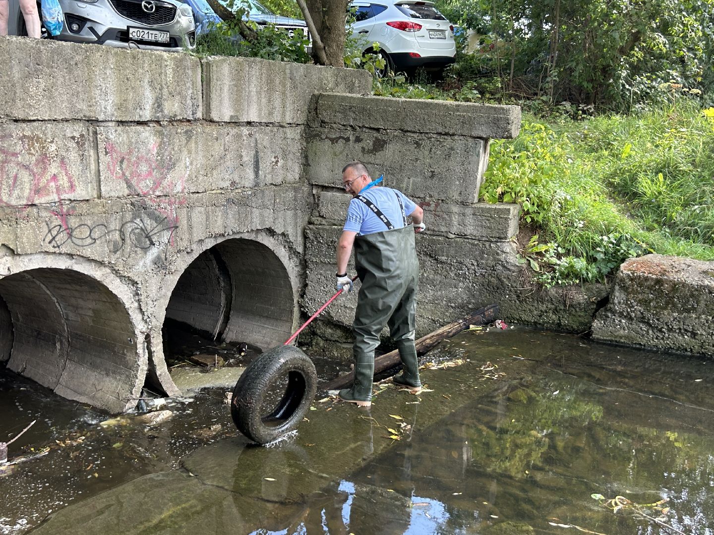 акция, вода России, Фрязино, пруд